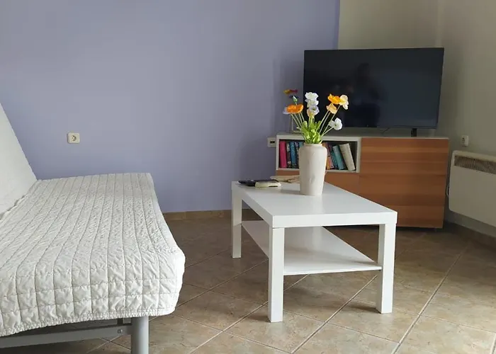 Plakes Suites